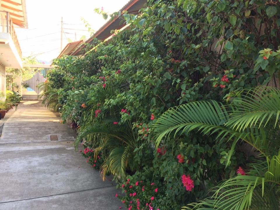 La Casa Del Italiano Bed and Breakfast Tarapoto Eksteriør billede